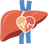 Lipids